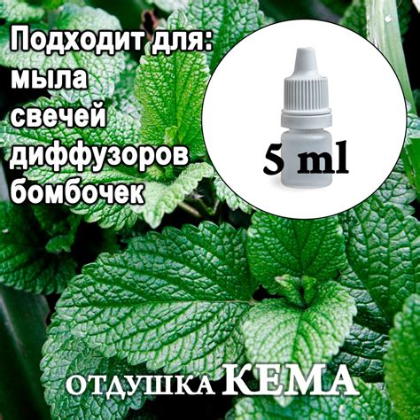 Отдушка косметическая Мята и ментол 5мл - купить с доставкой по ...