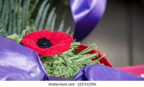 Remembrance Day Poppy Wreath Closeup Poppy Stock Photo 1227115396 ...