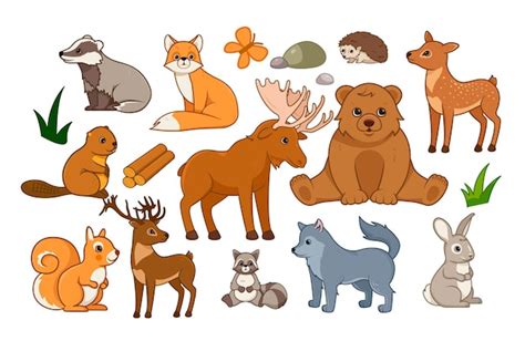 Premium Vector | Forest animals kit