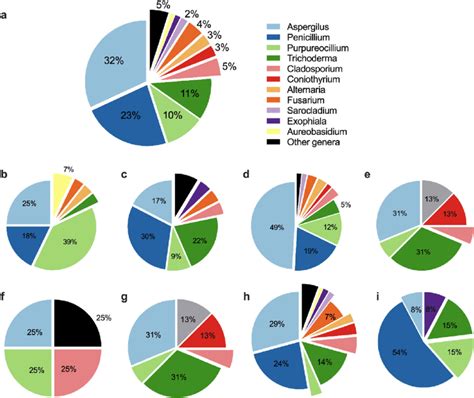 Taxonomic Distribution And Relative Abundance Of Fungi Recovered From