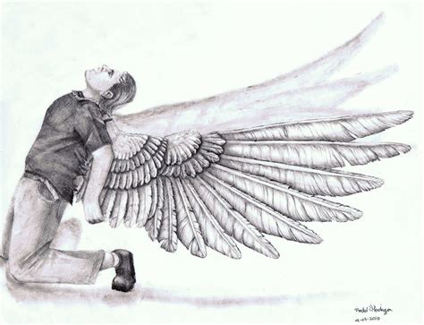 growing wings  silvadragoness  deviantart
