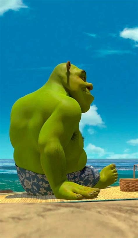 Shrek Sem Camisa - Pin de Antoniokingsmcydvz em fondo 2 | Fiona e sherek, Shrek, Fotos de ...