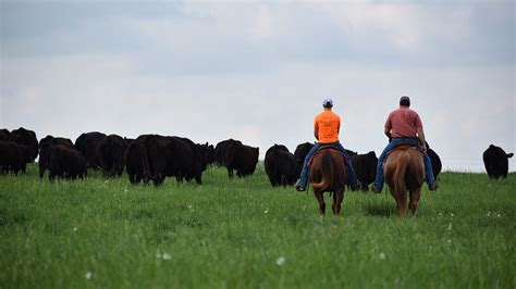 Missouri’s Small Family Farms Show Dramatic Growth in Census of Agriculture