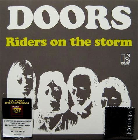 The Doors – Riders On The Storm (2011, Vinyl) - Discogs