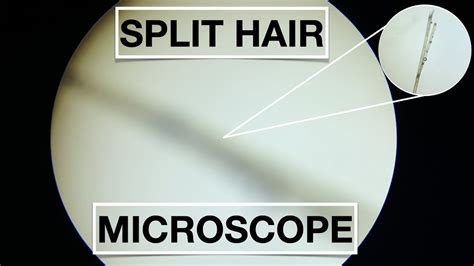 What Do Split Ends Look Like Under A Microscope