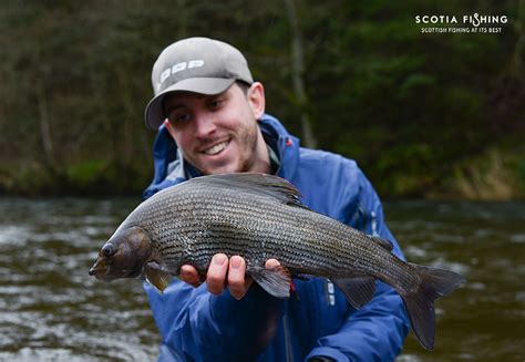 grayling fishing in scotland - Scotia Fishing