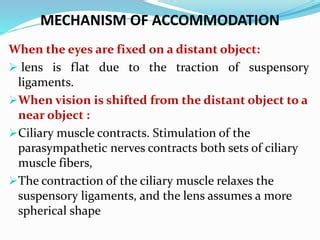 Accomodation reflex | PPT