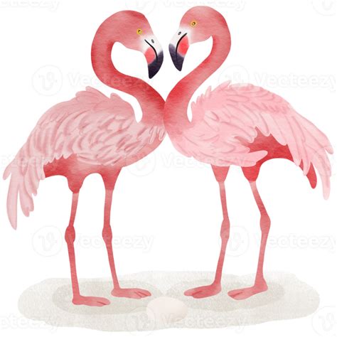 Cartoon Pink Flamingos With Their Egg 35983701 Png