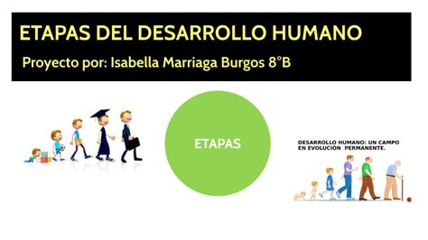 Etapas Del Desarrollo Humano By Isabella Marriaga On Prezi