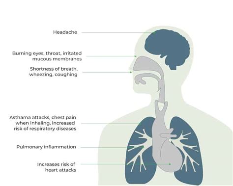 Ozone Monitoring Know About Atmospheric Ozone Oizom