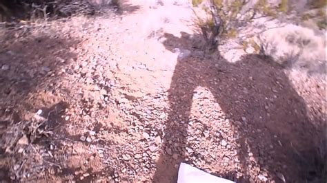 Thick Brown Skin Search Xvideos