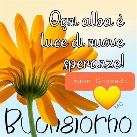 Pin Di MG Su Buongiorno Buongiorno Immagini Buongiorno Bellissimo