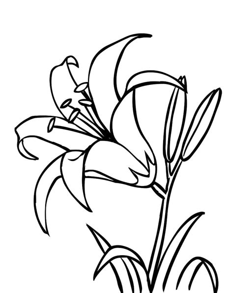 Coloriage Belle Fleur De Lys T L Charger Et Imprimer Gratuit Sur