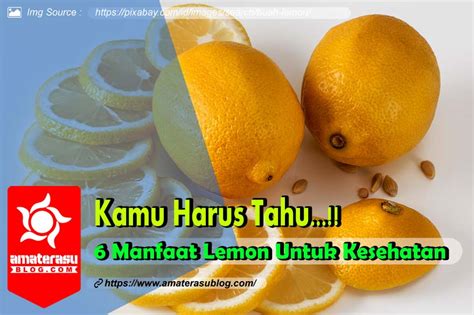 √ 6 Manfaat Jeruk Lemon Untuk Kesehatan