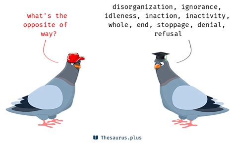 synonyms   antonyms similar   words