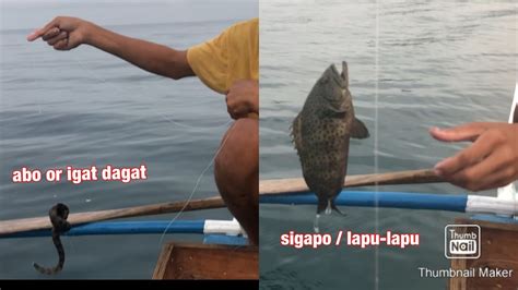 Kitang Episode Paano Manghuli Ng Isda Gamit Ang Kitang