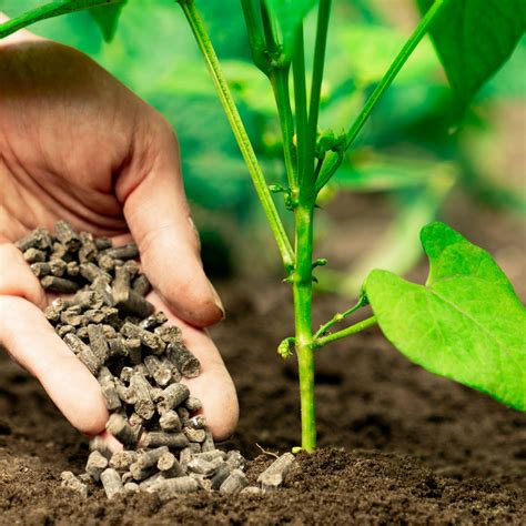 BENESOL 4-3-3: THE FOUNDATION OF FERTILIZATION FOR ENHANCED CROP YIELDS