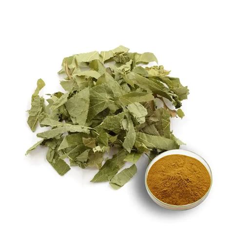 Title: The Best Types of Epimedium Extract Powder. Type: A Guide to ...