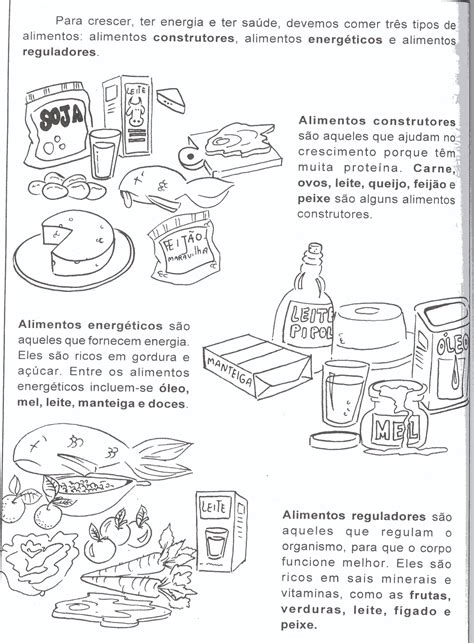 Quais São Os Nutrientes Reguladores Das Atividades Celulares
