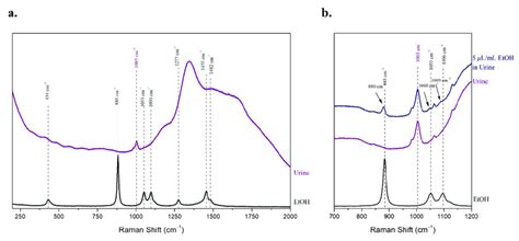 The Raman Spectra Of Ethanol Human Urine And The 5 μlml Ethanolic