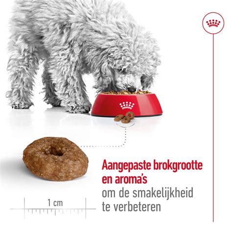 Hondenvoer - Mini Ageing 12+ | Royal Canin NL