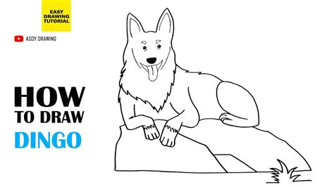 How To Draw Dingo Easy Youtube