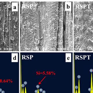 Morphological And Elemental Analysis Of Untreated And Pretreated WS