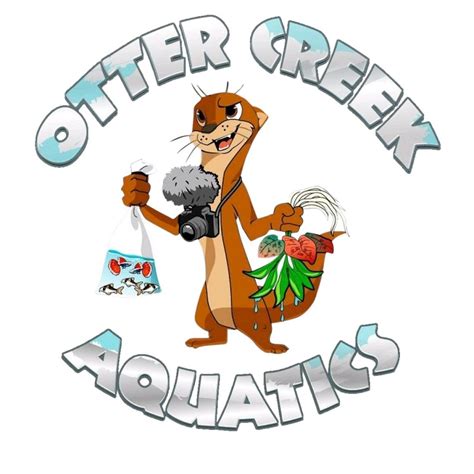 Otter Creek Aquatics Youtube