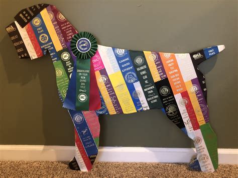 Show ribbon dog | Ribbon display, Show ribbon display, Award ribbon display