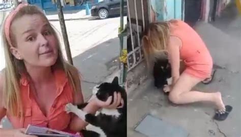 Covardia Mulher Flagrada Espancando Gata De Rua Imagens Fortes