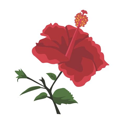 clip art hibiscus flower 8