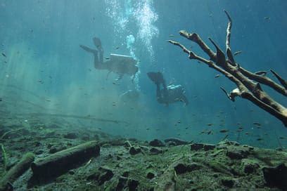 Plong E Souterraine Au Mexique Cave Diving In Yucatan Mexico