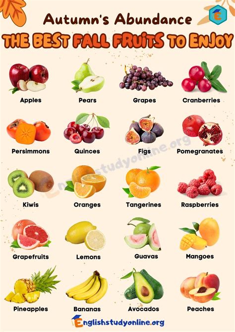 59 Fall Fruits Delicious And Nutritious Picks For The Season English