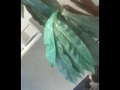 What A Hot Ass Xxx Mobile Porno Videos Movies IPornTV Net