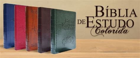 Biblia De Estudo Colorida Nvi Bv Books Luxo Varias Capas R Em