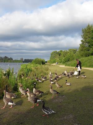 My Adventure Blog: Whitlingham Country Park, Norwich, Norfolk