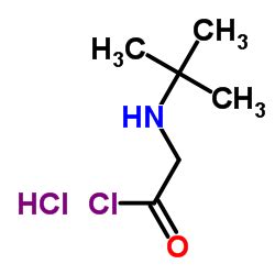 China Cloruro De 2 Terc Butilamino Acetilo Hidrocloruro CAS 915725