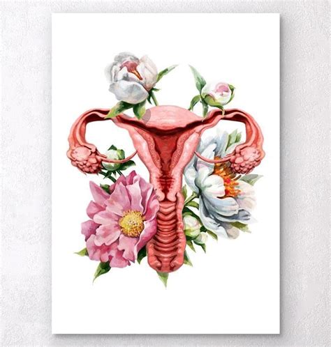 Uterus Anatomy Floral White Anatomische Kunst Feministische