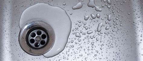 Why Do My Drains Gurgle Drain Cleaning Tips