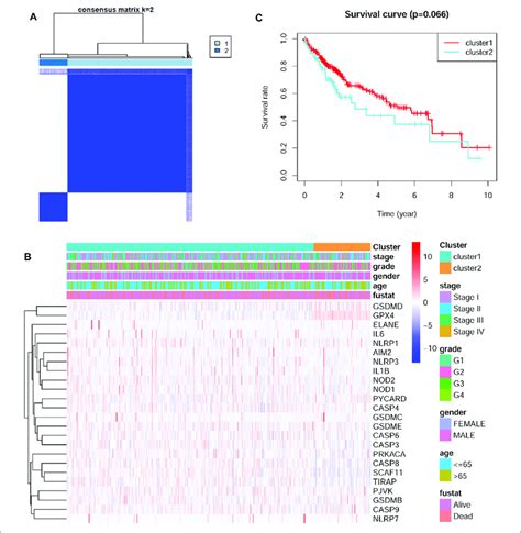 Identification Of Tumor Subtypes Based On The Pyroptosis Related Degs