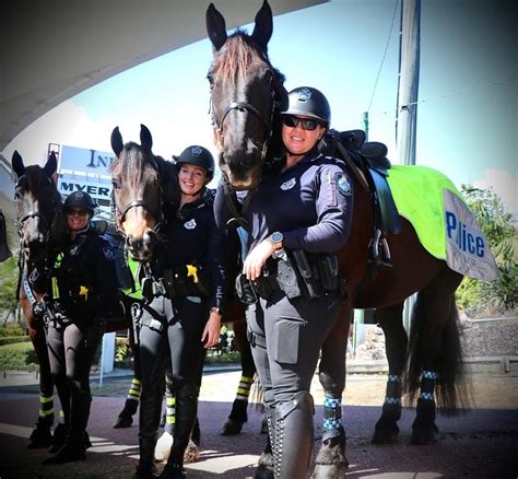 mounted unit offers unique perspective  policing mirage news