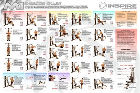 printable free multi gym exercises chart
