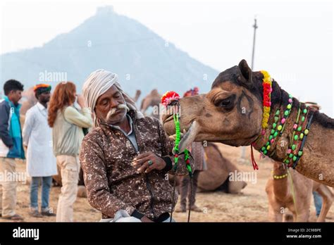 A Portrait of Rajasthani man in traditional dress and colorful turban ... 