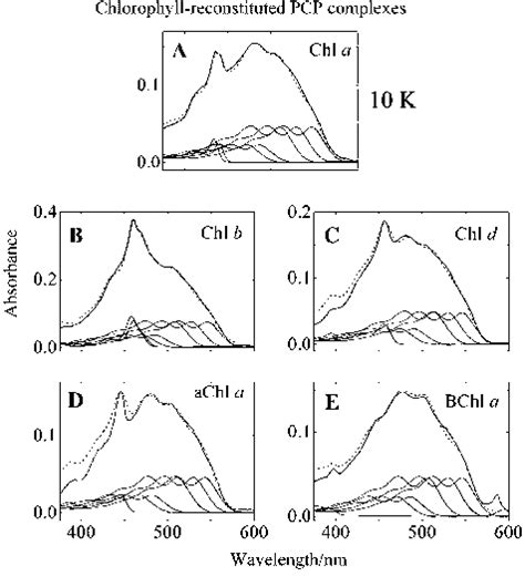 Reconstruction Of The 10K Absorption Spectra Of The Reconstituted PCP