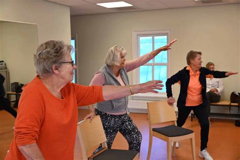 Bewegen Voor Ouderen Brinkhuis Laren