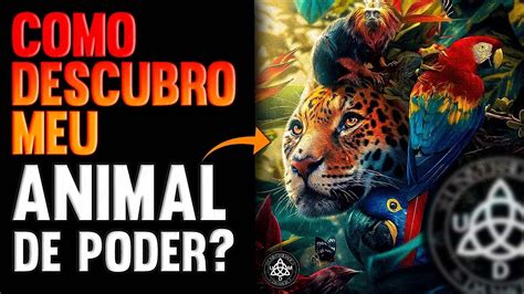 Como Saber Meu Animal De Poder - [PASSO A PASSO] Como descubro meu animal de poder? - YouTube