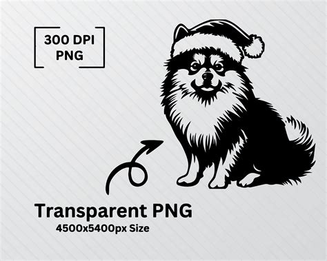 German Spitz Svg Bundle, German Spitz Dog Silhouette Svg, Dog Breeds