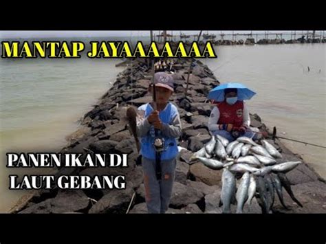 Mancing Di Baro Gebang Hasilnya Melimpah YouTube