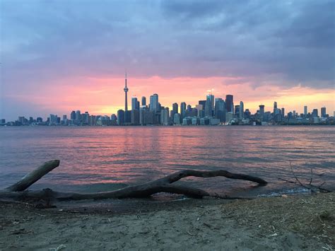Toronto’s skyline (as seen from Ward’s Island Beach) : r/pics