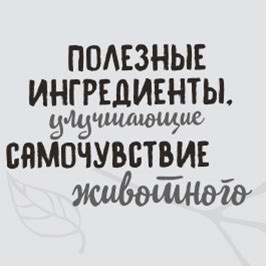 Кошки | OWNAT